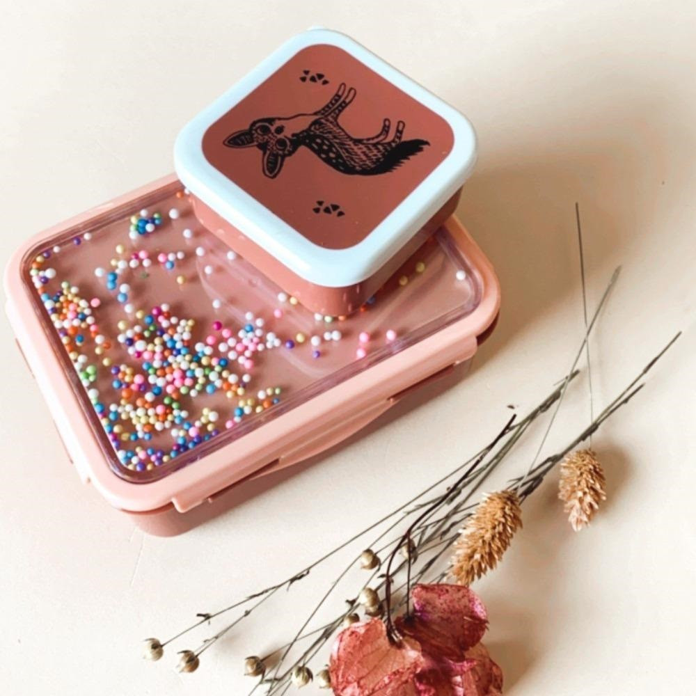 Afbeelding Petit Monkey Lunchbox ijslolly’s I Desert Rose