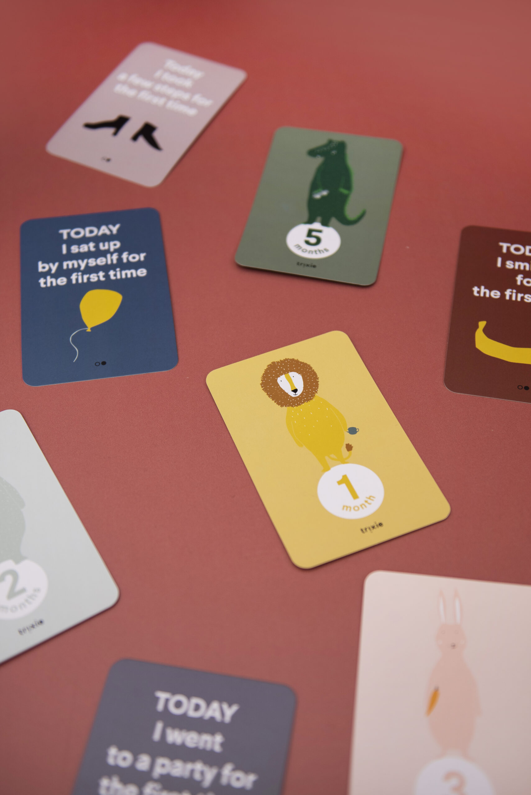 Afbeelding Trixie Milestone Cards – Verkleurde verpakking