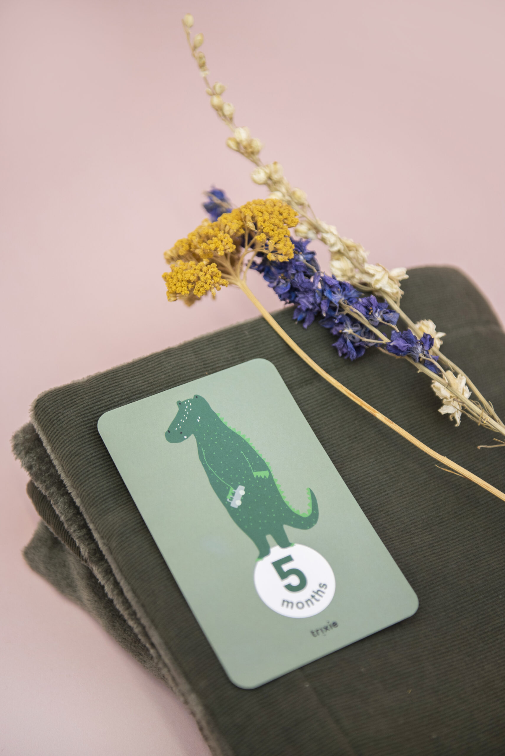 Afbeelding Trixie Milestone Cards – Verkleurde verpakking